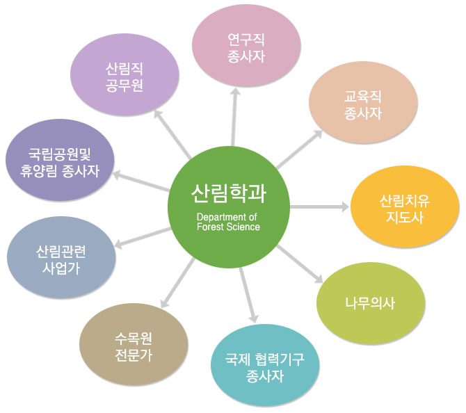 산림과학 전공자의 졸업 후 진로 사례